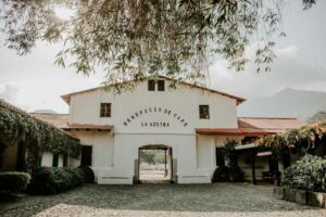 pexels photo 15312645